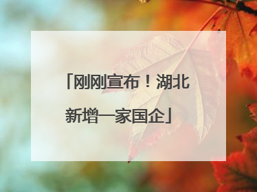 刚刚宣布！湖北新增一家国企