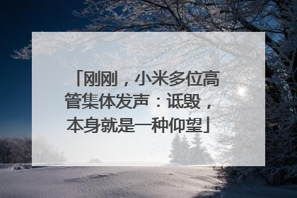 刚刚，小米多位高管集体发声：诋毁，本身就是一种仰望