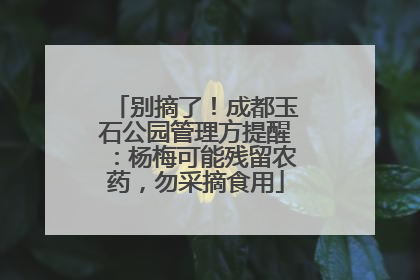 别摘了！成都玉石公园管理方提醒：杨梅可能残留农药，勿采摘食用