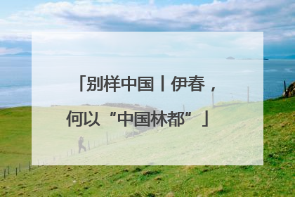 别样中国丨伊春，何以“中国林都”