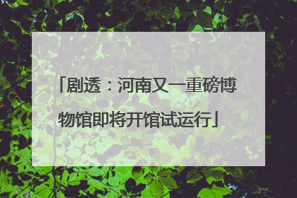 剧透：河南又一重磅博物馆即将开馆试运行