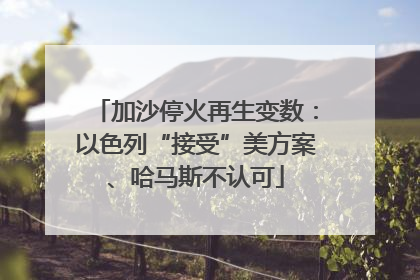 加沙停火再生变数：以色列“接受”美方案、哈马斯不认可