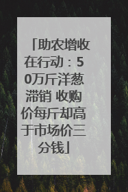 助农增收在行动：50万斤洋葱滞销 收购价每斤却高于市场价三分钱