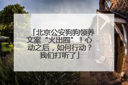 北京公安狗狗领养文案“火出圈”！心动之后，如何行动？我们打听了