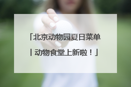 北京动物园夏日菜单丨动物食堂上新啦!