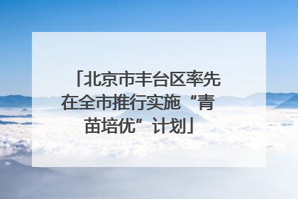 北京市丰台区率先在全市推行实施“青苗培优”计划