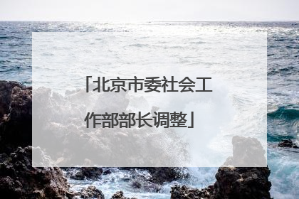 北京市委社会工作部部长调整