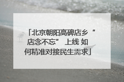 北京朝阳高碑店乡“店念不忘” 上线 如何精准对接民生需求