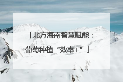 北方海南智慧赋能：葡萄种植“效率+”