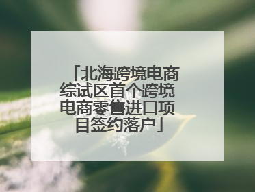 北海跨境电商综试区首个跨境电商零售进口项目签约落户