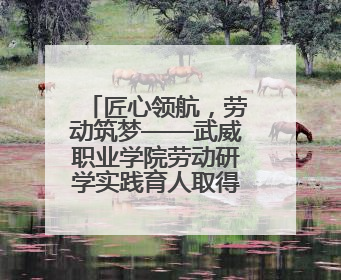 匠心领航，劳动筑梦——武威职业学院劳动研学实践育人取得新成果