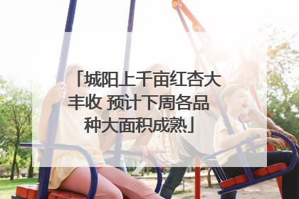 城阳上千亩红杏大丰收 预计下周各品种大面积成熟