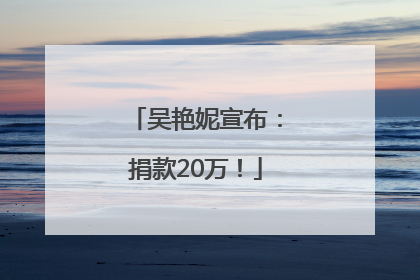 吴艳妮宣布：捐款20万！