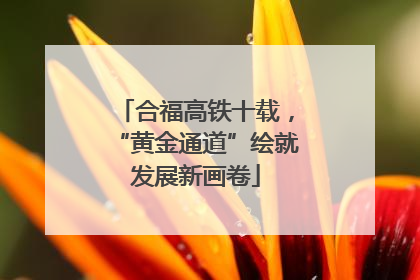 合福高铁十载，“黄金通道”绘就发展新画卷