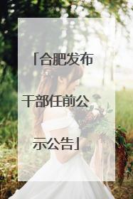合肥发布干部任前公示公告