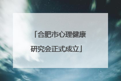合肥市心理健康研究会正式成立