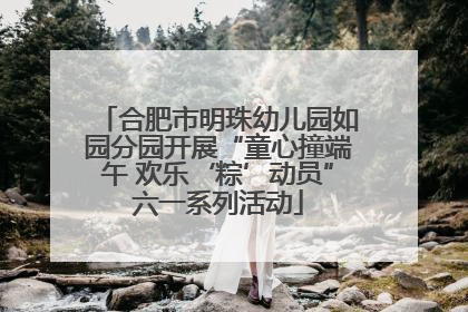 合肥市明珠幼儿园如园分园开展“童心撞端午 欢乐‘粽’动员”六一系列活动
