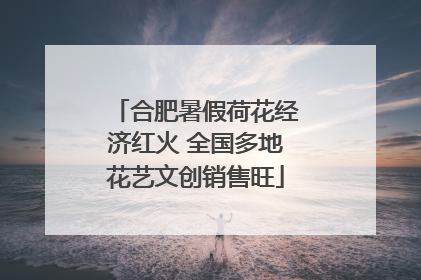 合肥暑假荷花经济红火 全国多地花艺文创销售旺