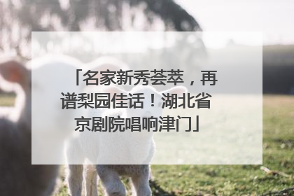 名家新秀荟萃，再谱梨园佳话！湖北省京剧院唱响津门