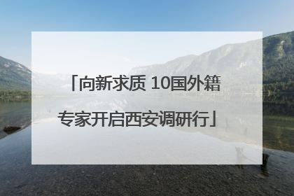 向新求质 10国外籍专家开启西安调研行