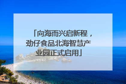 向海而兴启新程，劲仔食品北海智慧产业园正式启用