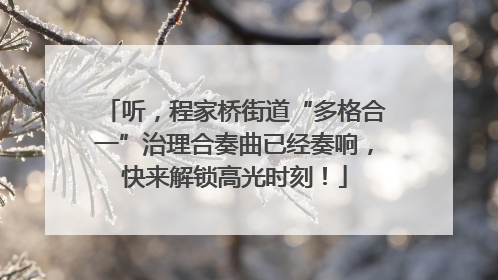 听，程家桥街道“多格合一”治理合奏曲已经奏响，快来解锁高光时刻！