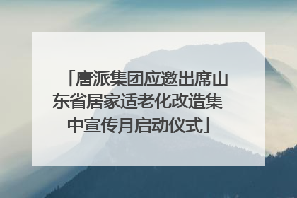 唐派集团应邀出席山东省居家适老化改造集中宣传月启动仪式
