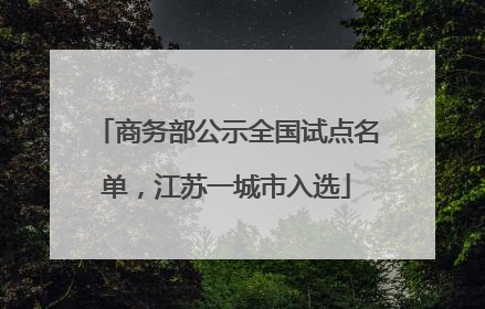 商务部公示全国试点名单，江苏一城市入选