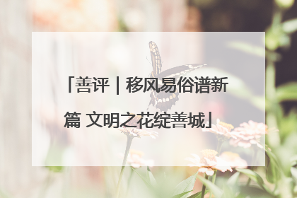 善评｜移风易俗谱新篇 文明之花绽善城