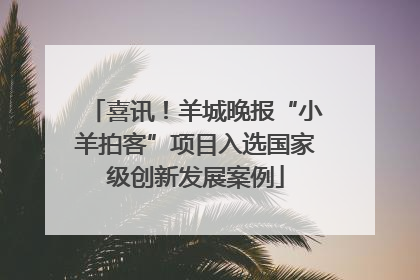 喜讯！羊城晚报“小羊拍客”项目入选国家级创新发展案例