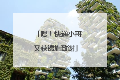 嘿！快递小哥又获锦旗致谢
