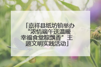 嘉祥县纸坊镇举办“浓情端午送温暖 幸福食堂粽飘香”主题文明实践活动
