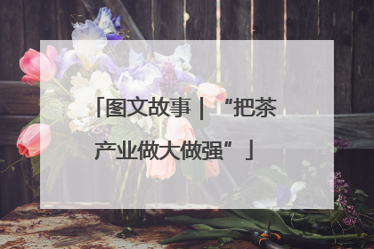 图文故事｜“把茶产业做大做强”