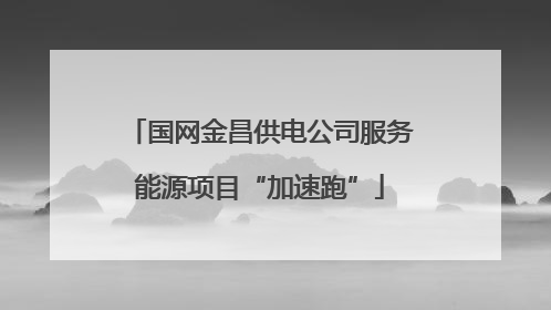 国网金昌供电公司服务能源项目“加速跑”