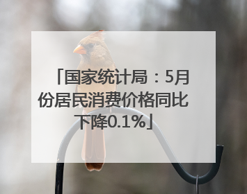 国家统计局：5月份居民消费价格同比下降0.1%