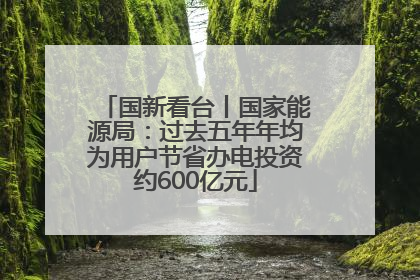 国新看台丨国家能源局：过去五年年均为用户节省办电投资约600亿元
