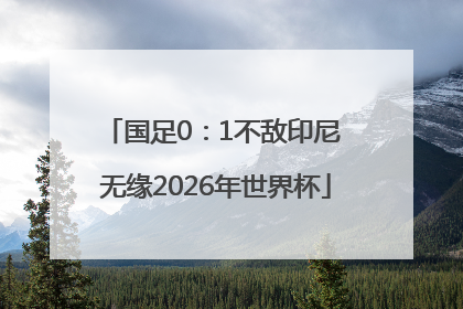 国足0：1不敌印尼 无缘2026年世界杯