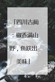 四川古蔺：椒香满山野，鱼跃出美味