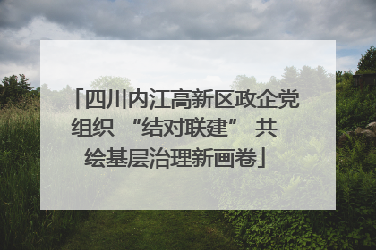 四川内江高新区政企党组织 “结对联建” 共绘基层治理新画卷