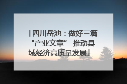 四川岳池：做好三篇“产业文章” 推动县域经济高质量发展