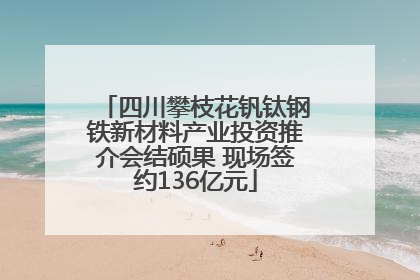 四川攀枝花钒钛钢铁新材料产业投资推介会结硕果 现场签约136亿元