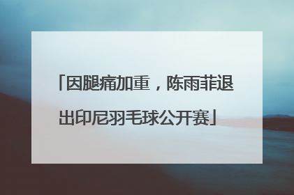 因腿痛加重，陈雨菲退出印尼羽毛球公开赛