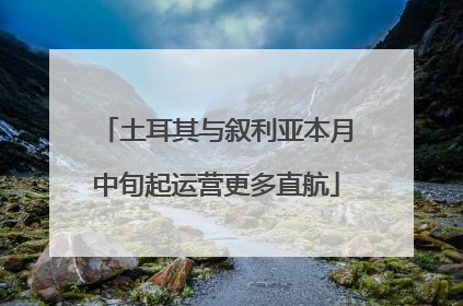 土耳其与叙利亚本月中旬起运营更多直航