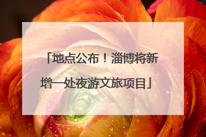 地点公布！淄博将新增一处夜游文旅项目