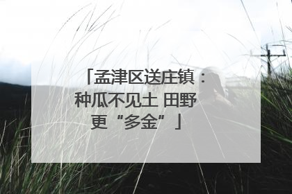 孟津区送庄镇：种瓜不见土 田野更“多金”