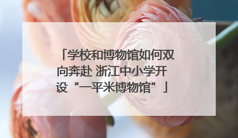 学校和博物馆如何双向奔赴 浙江中小学开设“一平米博物馆”