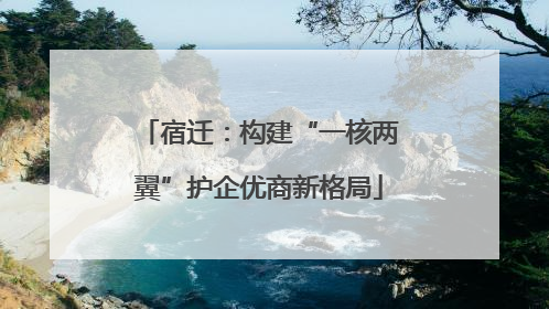 宿迁：构建“一核两翼”护企优商新格局