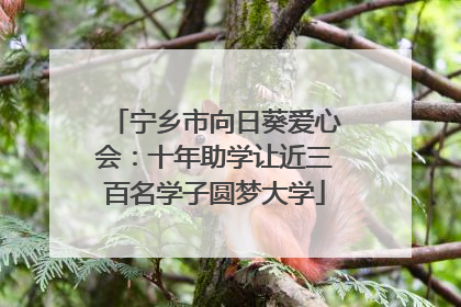 宁乡市向日葵爱心会：十年助学让近三百名学子圆梦大学