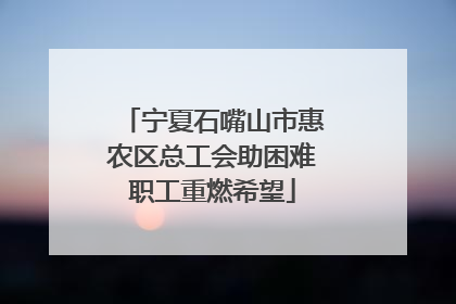 宁夏石嘴山市惠农区总工会助困难职工重燃希望