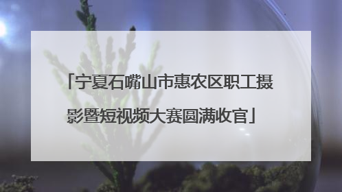 宁夏石嘴山市惠农区职工摄影暨短视频大赛圆满收官